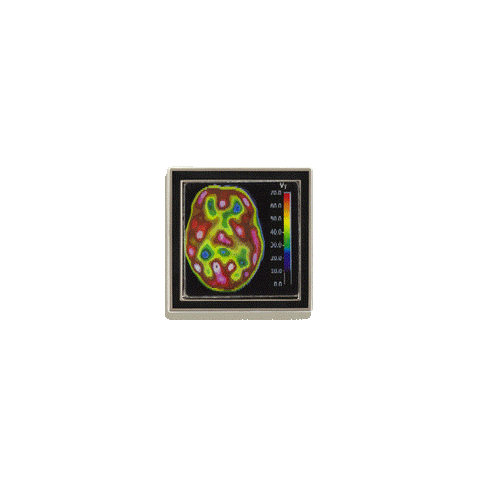 PET Scan Enamel Pin by Rad Girl Creations