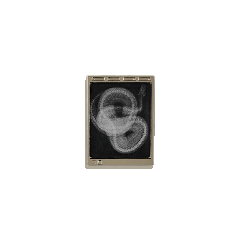 Veterinary Radiology Light Box Enamel Pin by Rad Girl Creations